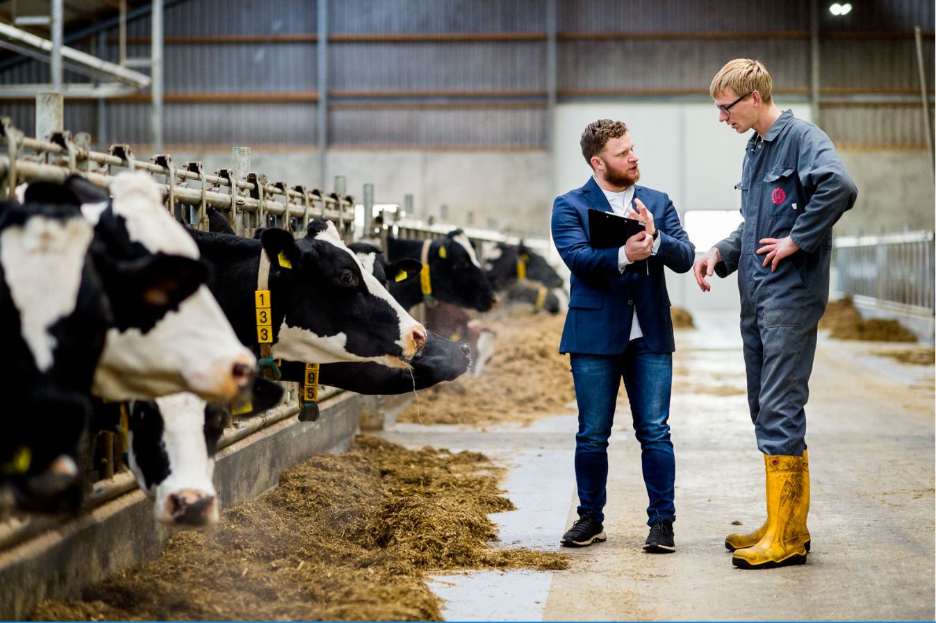 Diploma in Animal Husbandry